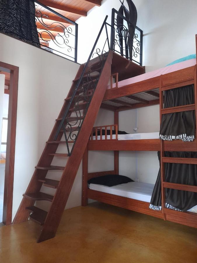 Florianópolis Mama Africa Hostel מראה חיצוני תמונה