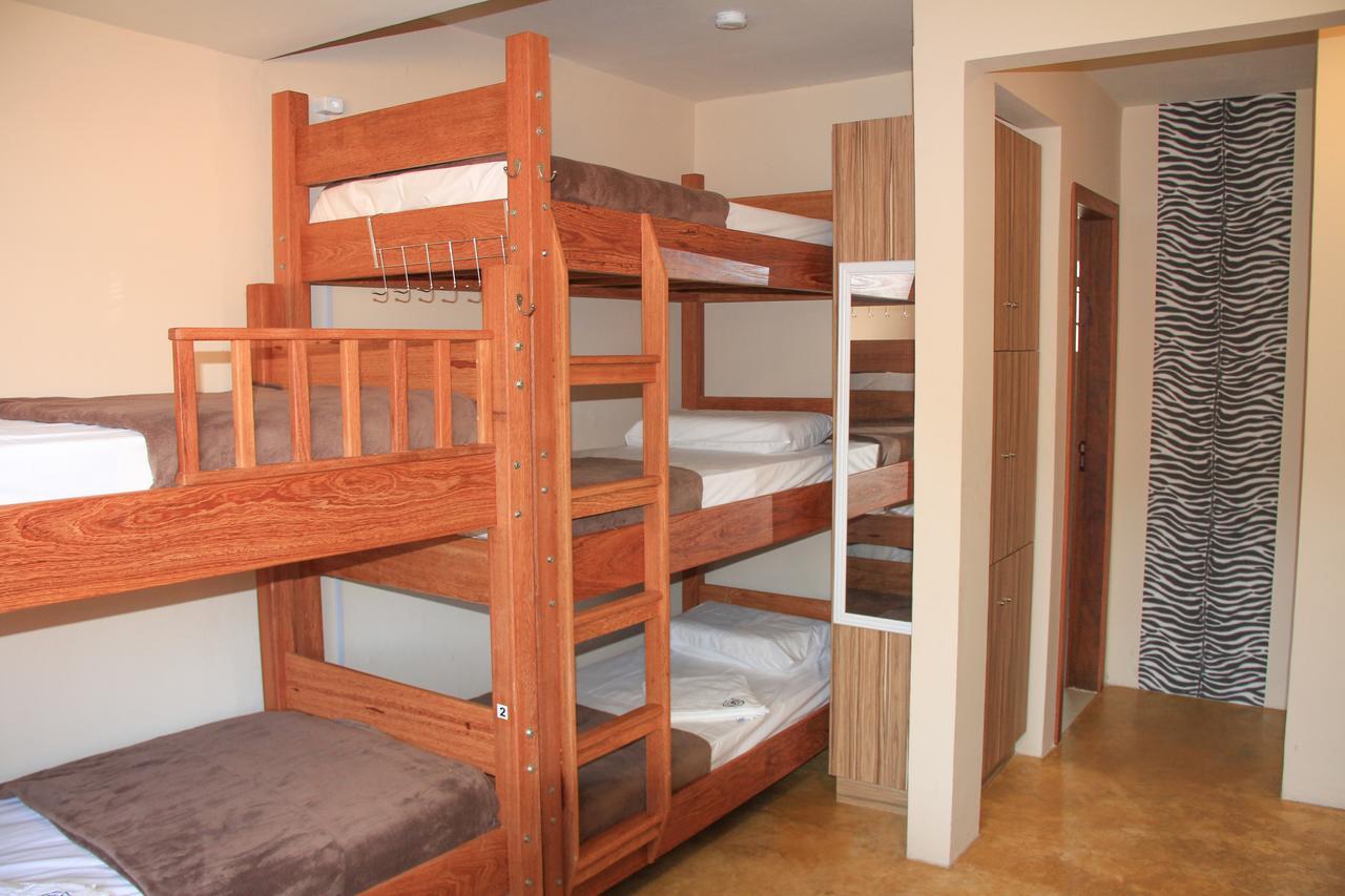 Florianópolis Mama Africa Hostel מראה חיצוני תמונה